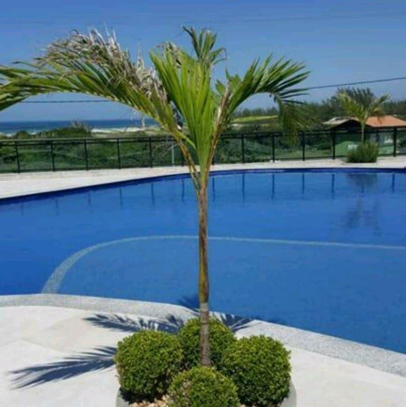 Le Bon Vivant Arraial Do Cabo 405 Bl A Exteriör bild